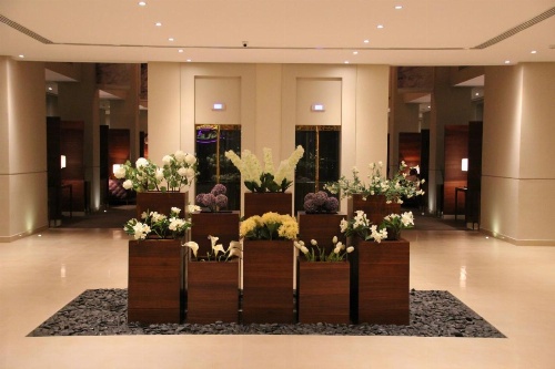 Rafa - Al Nuzhah image 19